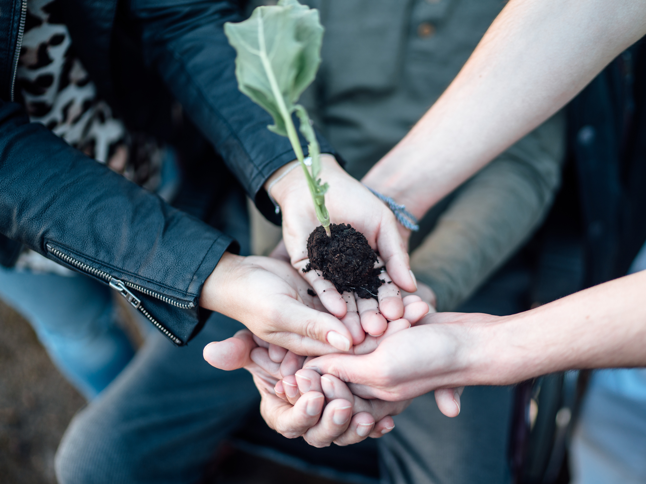 Voluntary Engagement : Caritas Kärnten